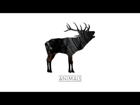 The Wild Roots - The Wild Roots - Animals