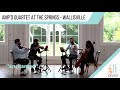 “Enchanted” by Taylor Swift (Amp'd String Quartet Cover)