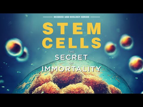 Stem Cells: The Secret To Immortality FULL DOCUMENTARY | Science Documentary | The Dock
