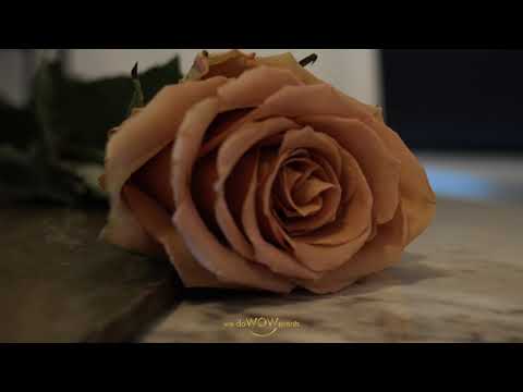 We Do Wow Events -demo de aranjament floral, concept pentru nunta