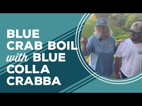 Love & Best Dishes: Blue Crab Boil with Blue Colla Crabba | How to Cook Blue Crabs at Home