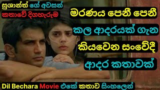 මරණය පෙනී පෙනී කල ආදරයක සංවේදී කතාවක් | දිල් බෙචරා Movie Review Sinhala Educational Story |C Puter