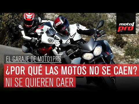 Video de YouTube