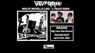 Test Icicles - What's Michelle Like (4 track Demo)