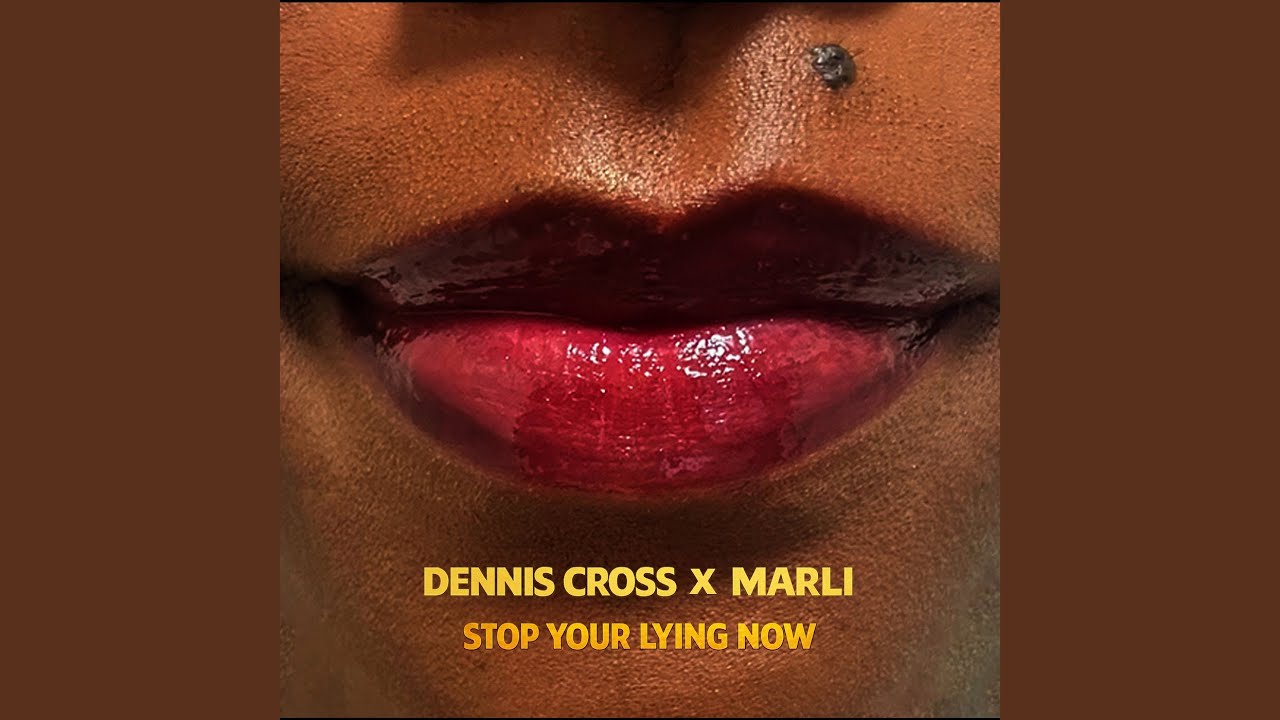 Stop Your Lying Now (Remix)