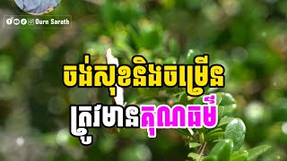 ចង់សុខ និងចម្រើន ត្រូវមានគុណធម៌