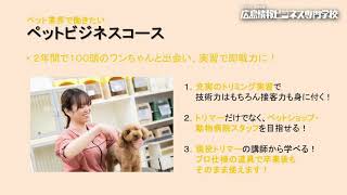 広島情報ビジネス専門学校「」動画