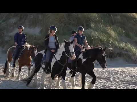 Strandausritt auf Langeoog