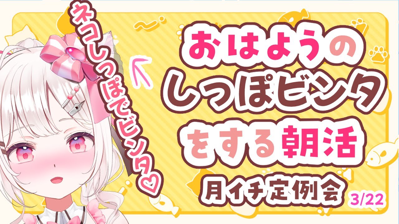 【#朝活 】3/22 しっぽビンタ朝活！お仕事、学校の人おやすみの人もおいで～！✨初見・ROMさんも大歓迎まってるよ～～【 #morningstream #vtuber #夏目めい ]