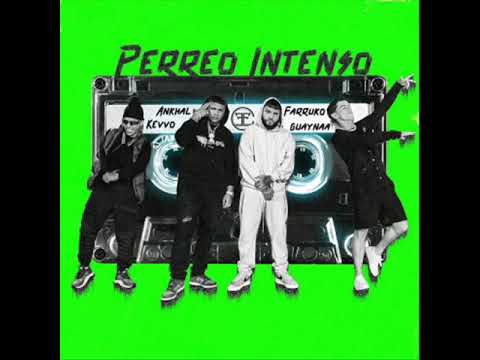 Perreo intenso perreo farruko ft guaynaa x kevvo x ankhal (audio official)