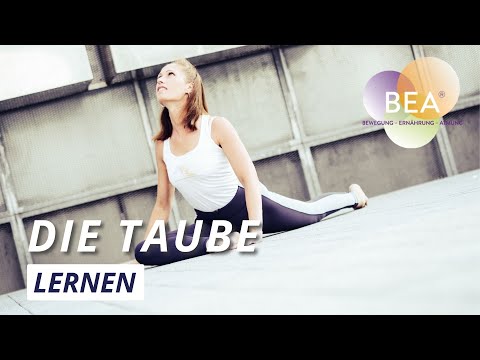 Die Taube lernen für Anfänger in einfachen Schritten | Kapotasana