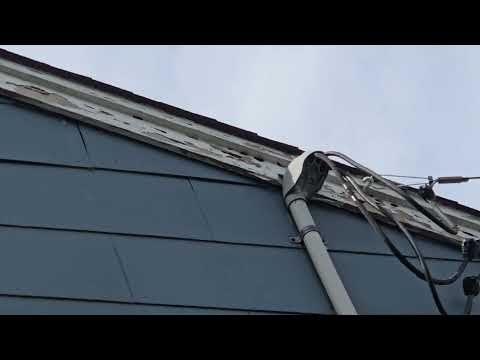 Carpenter Bees Causing Massive Damage to Fascia in Colonia, NJ