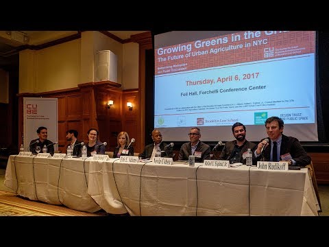 Growing Greens in the Grid: The Future of Urban Agriculture in NYC