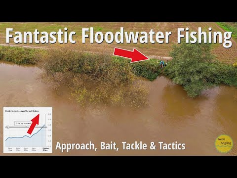 FANTASTIC FLOODWATER FISHING - Approach, Bait, Tackle & Tactics - 5/11/25 (Video 610)