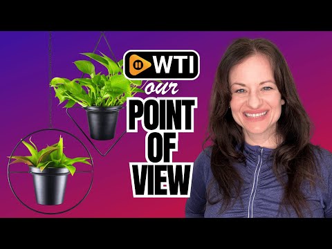 Metal Hanging Planters - WTI product video review
