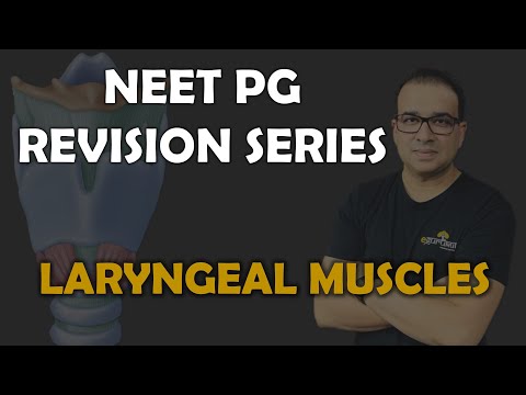 NEET PG- LARYNGEAL MUSCLES