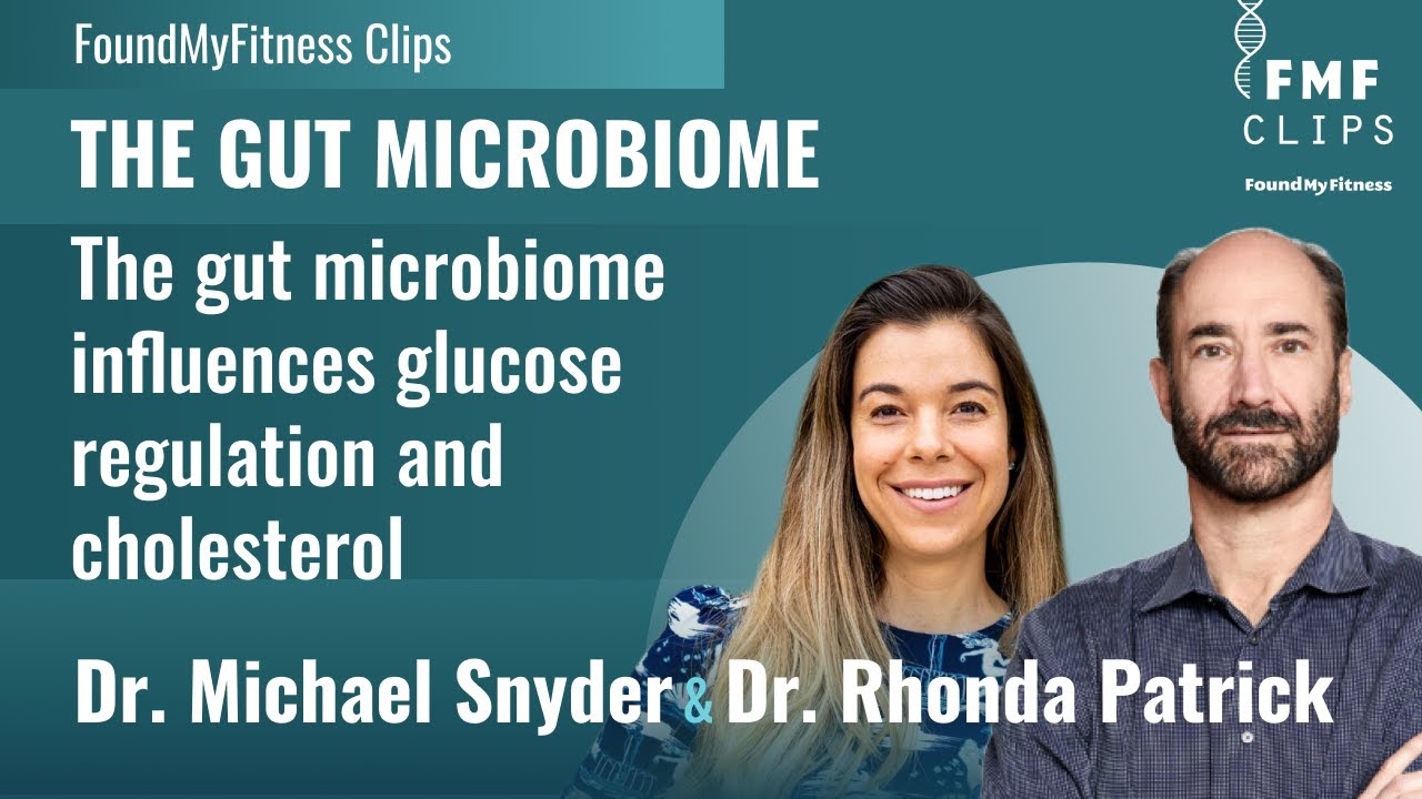 The gut microbiome influences glucose regulation and cholesterol | Dr. Michael Snyder