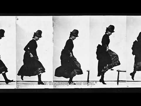 afbeelding Trailer | Fantastic Machine