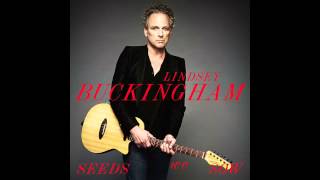 Lindsey Buckingham - In Our Own Time (Seeds We Sow) ~ Audio