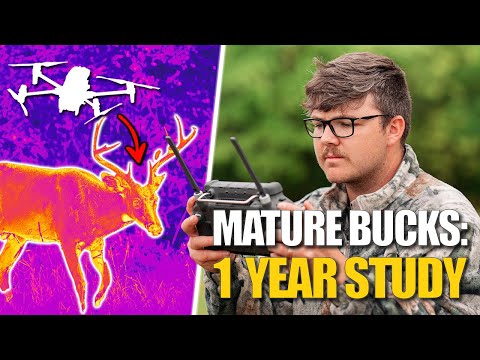 What 1 YEAR of Thermal Whitetail Research Taught Me