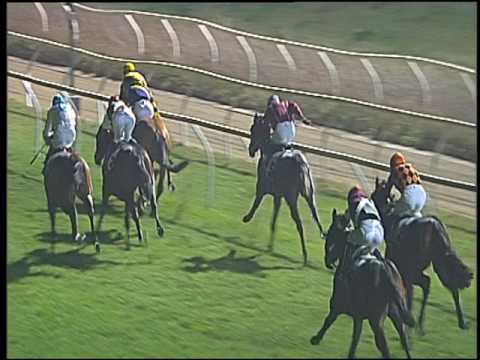 Galoppo 09/12/2016 - 4ª corsa