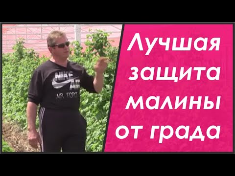 Фото Репортажная съемка и монтаж выполнен мной. Большой опыт работы с хозяйствами по выращиванию разных культур