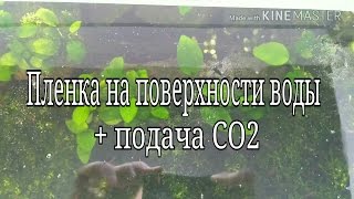 Пробковый однородный поплавок плавает на поверхности однородной жидкости