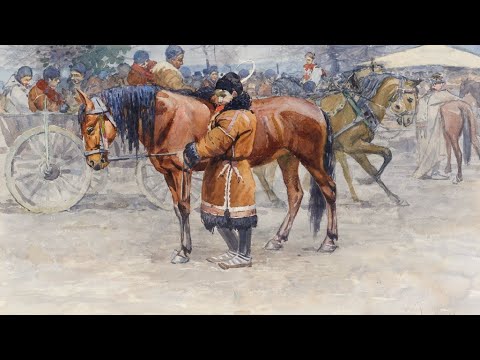 Či že sú to koně