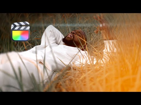 Level Up Your Videos With These FCPX Plugins! (MotionVFX)