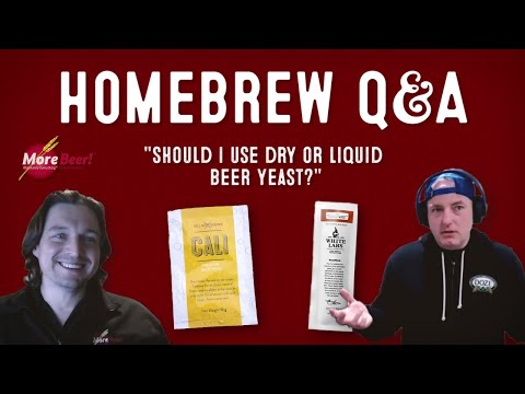 Should I Use Dry or Liquid Beer Yeast? | Homebrew Q&A with MoreBeer!