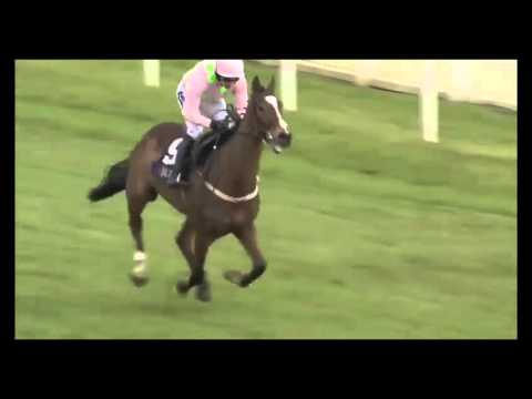 JPFestival.com TV - Cheltenham Teaser 2016