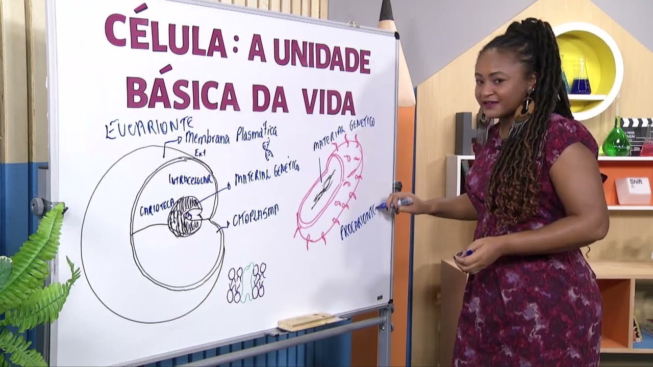 Célula: a unidade básica da vida | Rioeduca na TV – Ciências - 8º Ano