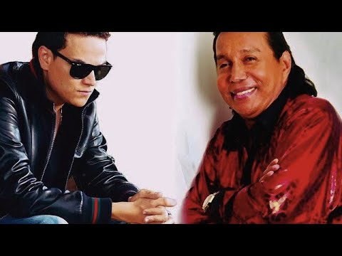 Diomedes Díaz Y Silvestre Dangond, Gaviota Herida - Audio