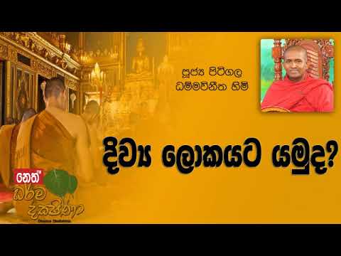 Darma Dakshina 2019.5.01 - Pitigala Dammawinitha Himi