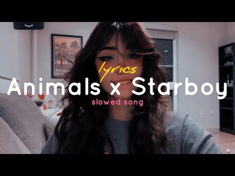 Animals x Starboy (lyrics) (slowed + reverb) ( tiktok remix )