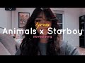 Animals x Starboy (lyrics) (slowed + reverb) ( tiktok remix )