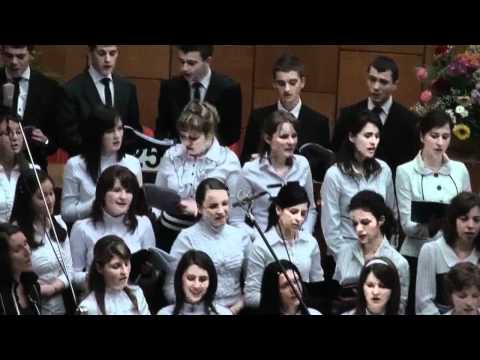 VIN' ACAS' | Cor Matca