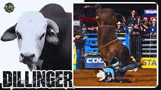 DILLINGER: O TOURO MAIS TEMIDO DA HISTÓRIA DA PBR