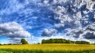 Jenny Hval - Amphibious, Androgynous