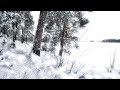 Wintersun - Loneliness (Winter) Official Lyric Video