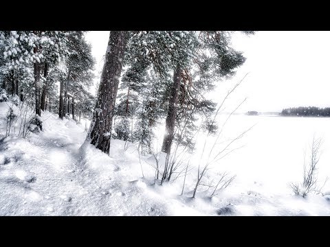 Video thumbnail for Loneliness (Winter)