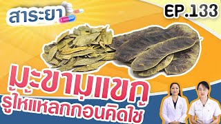 สาระยา | มะขามแขก รู้ให้แหลกก่อนคิดใช้ | EP.133
