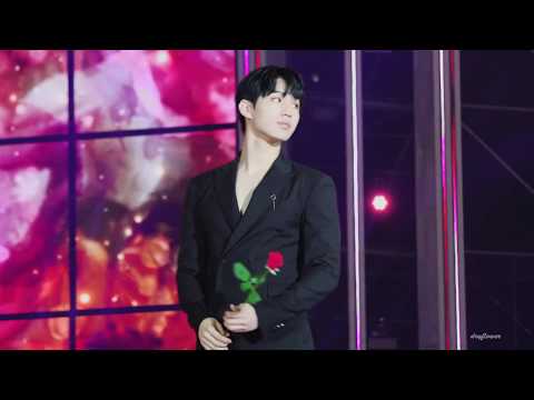 180801 KMF 플라워카펫 헤일로 재용 focus