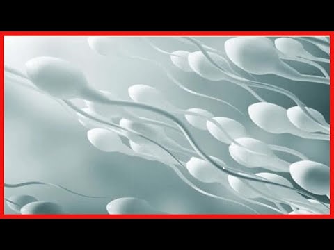 Hämospermie oder Blut im Ejakulat