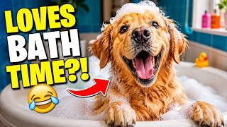 Download lagu This Dog LOVES Bath Time and We're Obsessed 😂 mp3