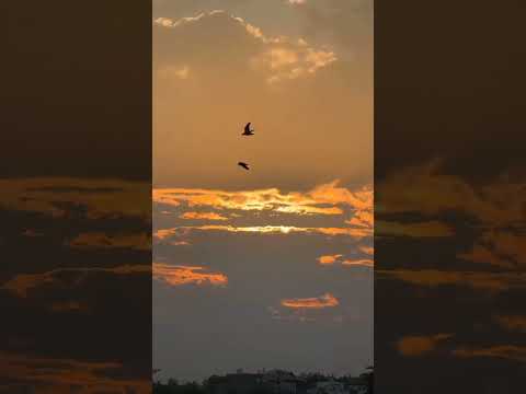 Ahasata soduruda violin cover 🎻| අහසට සොඳුරුද වයලින් වාදනය #music #violin #relaxing