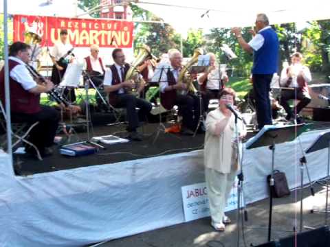 Jablonečanka - Tulipány z Amsterdamu