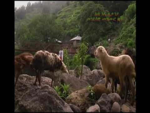 ZEMARI HABTAMU SHIBRU/ዘማሪ ሃብታሙ ሽብሩ