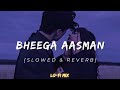 Bheega aasman lofi song (slowed & Reverb) #Dhol