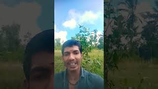 Download lagu Njavalan      Chola      Kuyile    Naadanpaattu      by    Unni    Idukki     Thannippara mp3